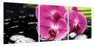 Fotka orchideje (90x30cm)