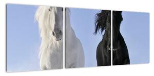 Koně, obraz (90x30cm)