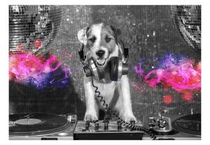 Fototapeta - DJ Dog