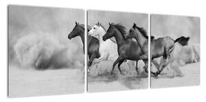 Obraz cválajících koňů (90x30cm)