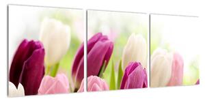 Tulipány, obrazy (90x30cm)