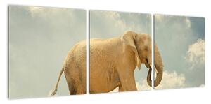 Slon na laně, obraz (90x30cm)