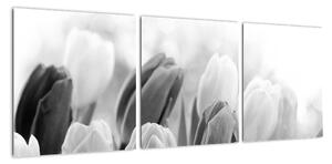 Tulipány, obraz (90x30cm)