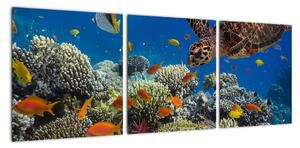 Obraz podmořského světa (90x30cm)