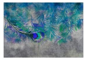 Fototapeta - Peacock Feathers