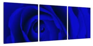 Detail modré růže - obraz (90x30cm)