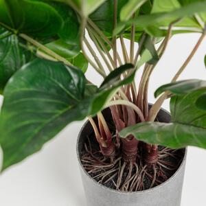 OnaDnes -20% Umělá květina Kave Home Anthurium 50 cm