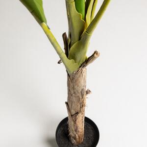 OnaDnes -20% Umělá květina Kave Home Banana 160 cm