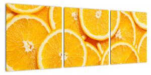 Plátky pomerančů - obraz (90x30cm)