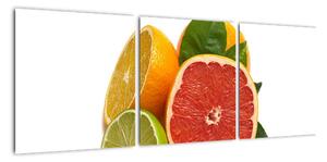 Citrusové plody - obraz (90x30cm)