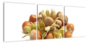 Lískové ořechy - obrazy (90x30cm)