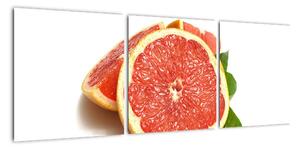 Grapefruit - obraz (90x30cm)