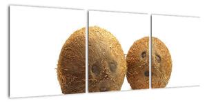 Kokosový ořech, obraz (90x30cm)