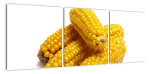 Kukuřice, obraz (90x30cm)