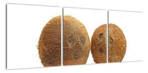 Kokosový ořech, obraz (90x30cm)