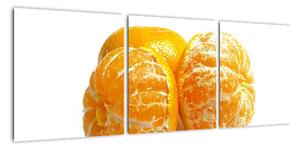 Pomeranče, obraz (90x30cm)