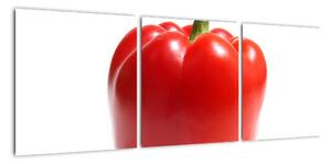 Paprika červená, obraz (90x30cm)