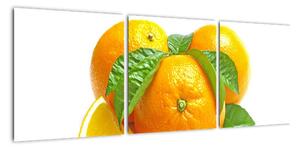 Pomeranče, obraz (90x30cm)