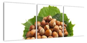 Lískové ořechy, obraz (90x30cm)