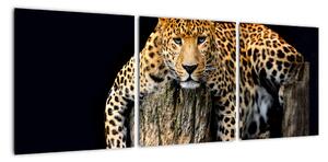 Leopard, obraz (90x30cm)