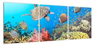 Podmořský svět, obraz (90x30cm)