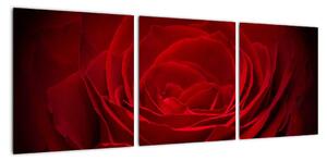 Makro růže - obraz (90x30cm)