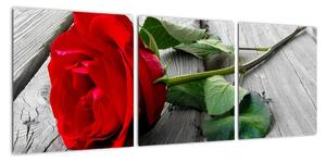 Obraz růže (90x30cm)