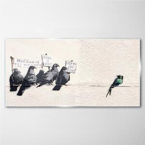 Obraz na skle Obraz na skle Protestující Birds Banksy