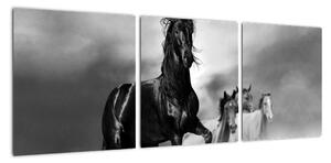 Černobílý obraz koňů (90x30cm)