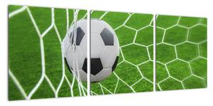 Fotbalový míč v síti - obraz (90x30cm)
