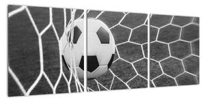 Fotbalový míč v síti - obraz (90x30cm)