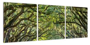Aleje stromů - obraz (90x30cm)