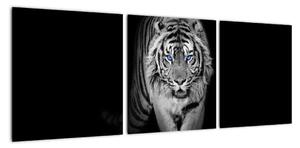 Černobílý lev - obraz (90x30cm)
