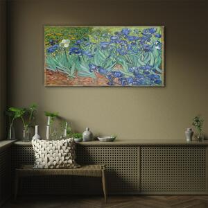 Obraz na skle Obraz na skle Van Gogh Irises
