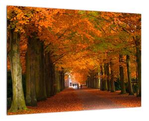 Obraz - cesty lesem na podzim