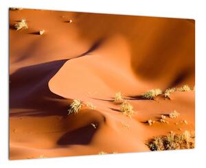 Obraz pouštích dun