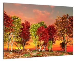 Obraz přírody - barevné stromy