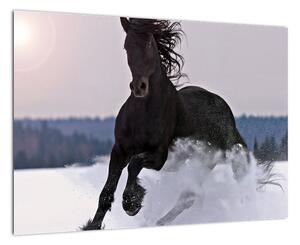 Obraz koně ve sněhu