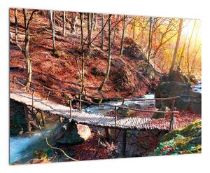 Obraz mostu - podzimní cesta lesem