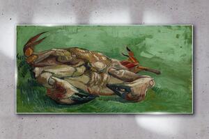 Obraz na skle Obraz na skle Krab na zádech Van Gogh