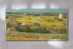 Obraz na skle Obraz na skle Sklizeň van Gogh