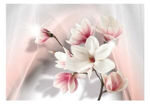 Fototapeta - White magnolias