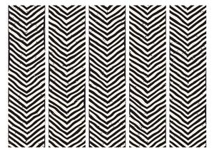 Paraván černobílý abstraktní hodnota: 225x172