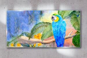 Obraz na skle Obraz na skle Opustí zvířecí parrot