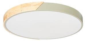 Stropní lampa PRIOS, Lynorri, Zelená, Obývací pokoj, Plast, Moderní