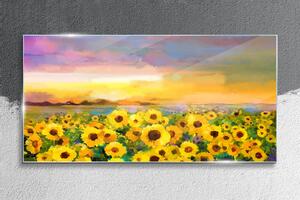 Obraz na skle Obraz na skle Západ slunce žluté květy