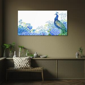 Obraz na skle Obraz na skle Květiny pták Peacock