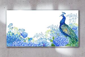Obraz na skle Obraz na skle Květiny pták Peacock