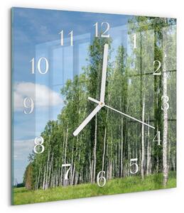 Skleněné hodiny Břízy zskb-30x30-00086040