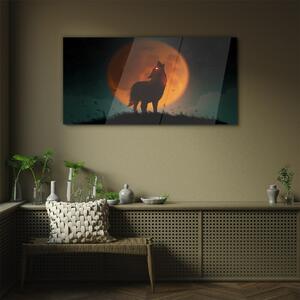 Obraz na skle Obraz na skle Zvířecí vlk Měsíc Sky